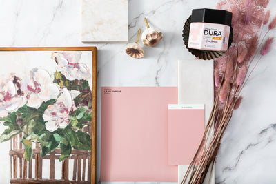 3 Pink Paint Color Palette Ideas featuring La Vie En Rose