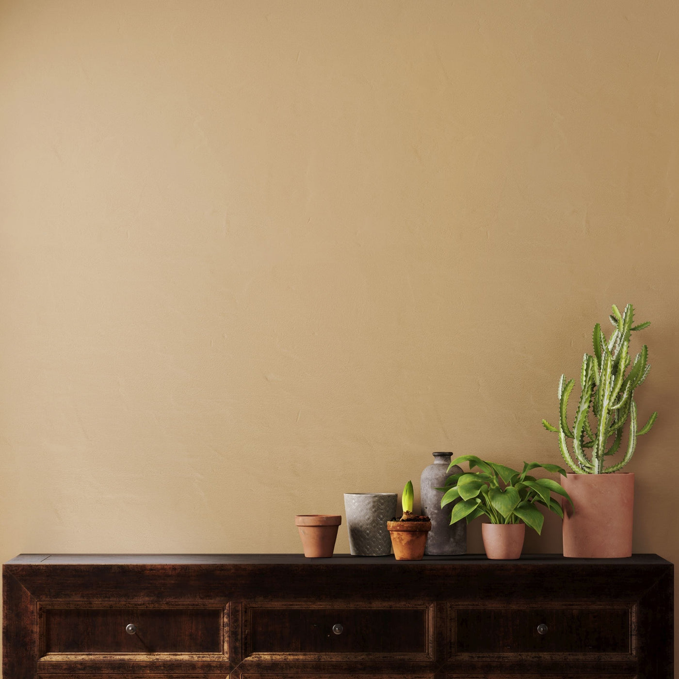 wood console table with plants displayed on top with Adobe painted on the wall