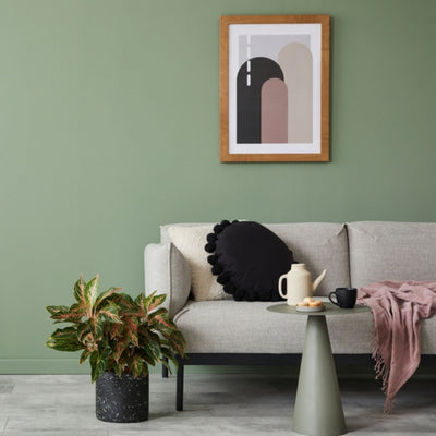 Living area with light gray sofa, round pillow, pink throw blanket and a small accent table. Wall painted in Cloistered Garden