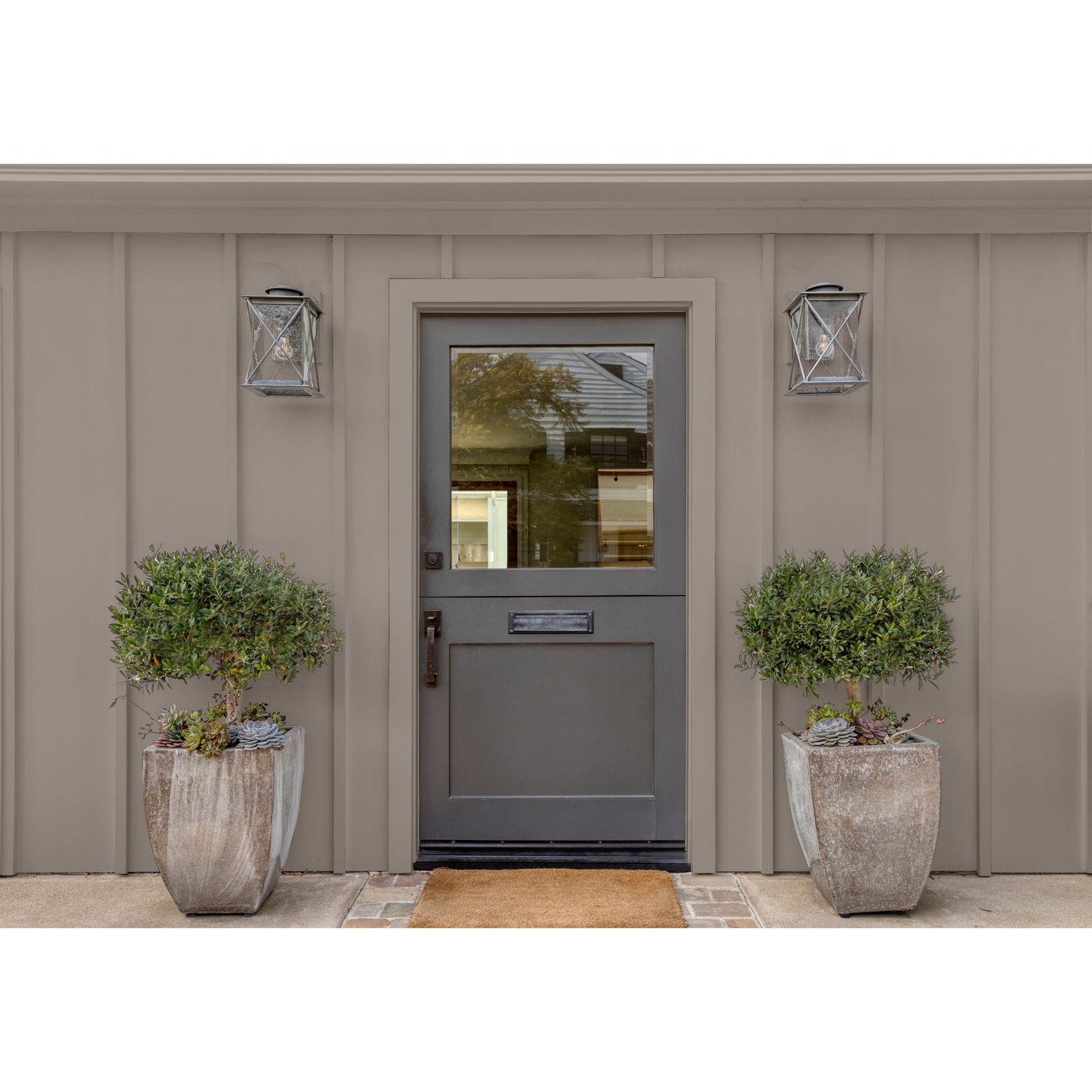 Slate Gray Portobello Mushroom DET 622