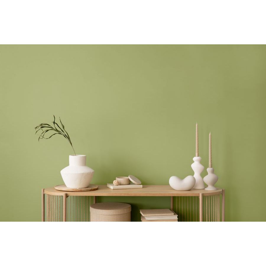 Early Harvest: Avocado Green Paint Color | DURA