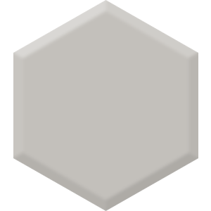 Gray Pearl DEC 795 Hexagon Paint Blob