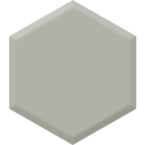 Pebble Walk DE 6277 Hexagon Paint Blob