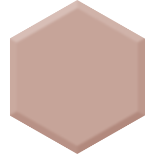 Rose Bisque DE 6081 Hexagon Paint Blob