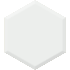 Classic White DEHW 08 Hexagon Paint Blob