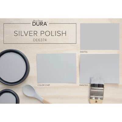 Dunn-Edwards Dura Silverpolish Mixed Media DE6374